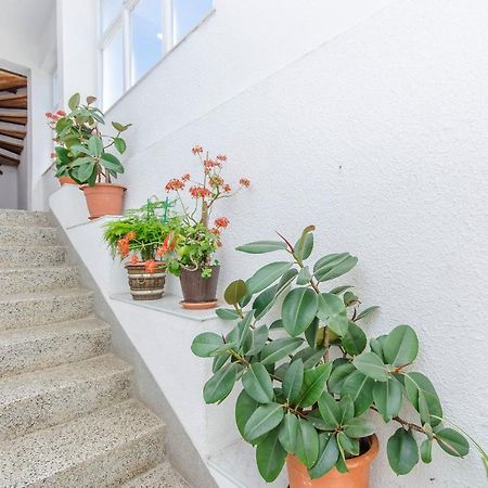 Apartments Zora Starigrad Paklenica Exterior photo